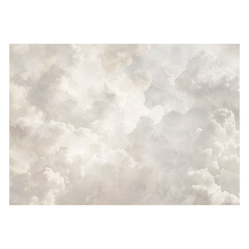 Фотообои для потолка с облаками в светлых тонах, 159914 G-ART