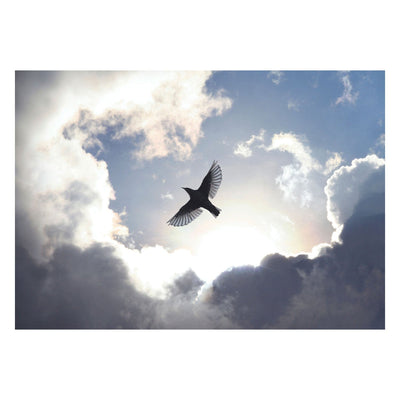 Valokuvatapetti kattoon - Lentävä lintu sinisellä taivaalla, 159919 G-ART