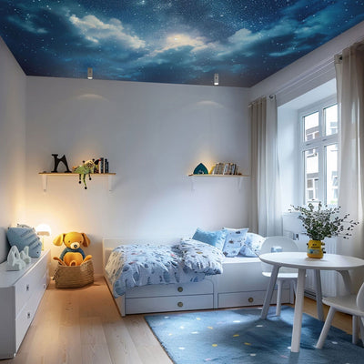 Wall Murals for the ceiling - Moon on a dark blue background with stars and clouds, 159913 G-ART