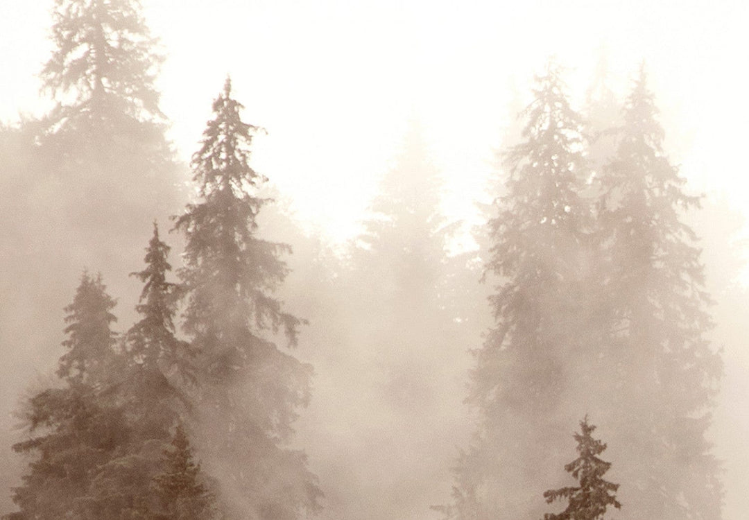 Fototapetes ar mežu kalnos sēpijas toņos G-ART