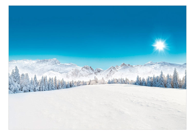 Valokuvatapetti - Vuorenhuiput ja lumen peittämät metsät, 151866 G-ART