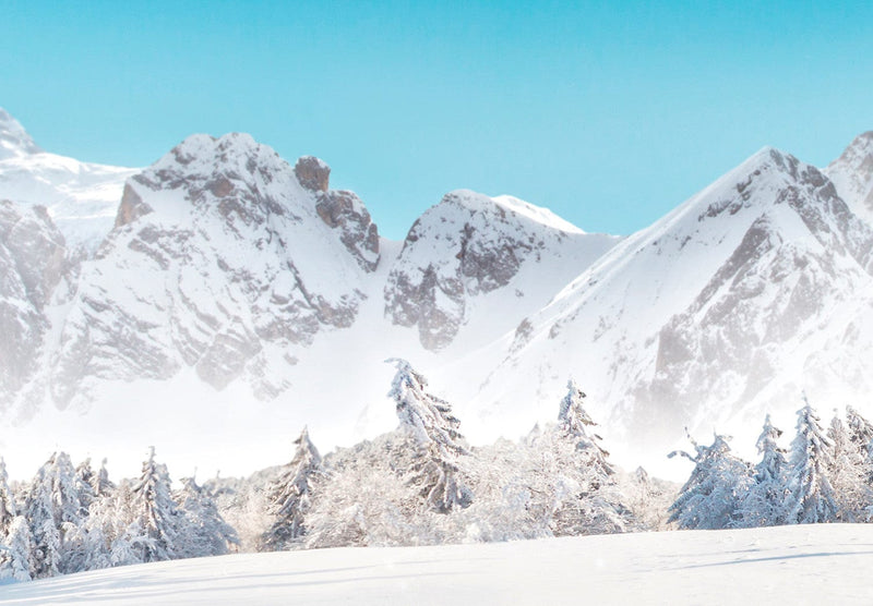 Фотообои - Горные вершины и леса, покрытые снегом, 151866 G-ART