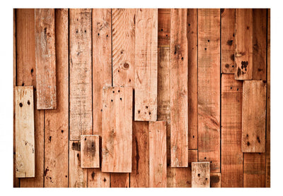 Buy Wall Murals with a wooden pattern in red-brown shades of G-art