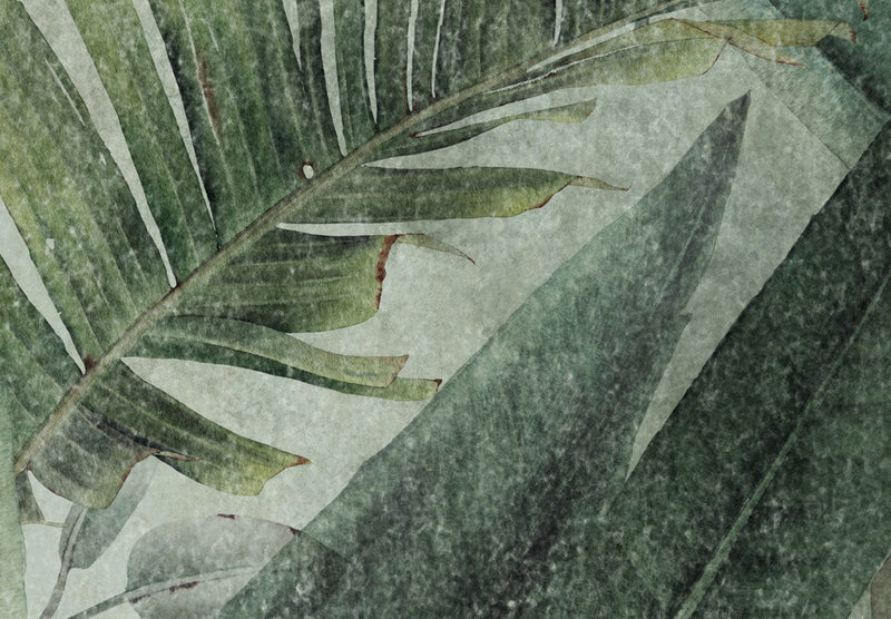 Fototapetes - Kompozīcija ar džungļu lapām un ziediem, 142310 G-ART