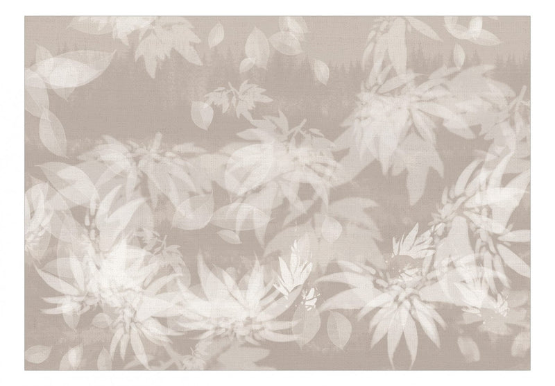 Fototapetes - Kompozīcija ar lapām baltos un pelēkos toņos, 138744 G-ART