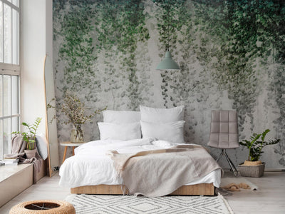 Wall Murals - Composition with dark ivy on the wall, 143060 G-ART