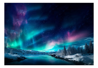 Wall Murals - Colorful northern lights in the night sky above the forest, 151865 G-ART
