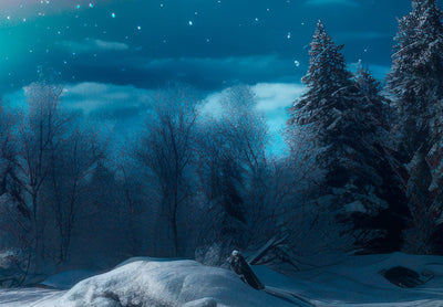 Fototapetai - Spalvingos šiaurės pašvaistės nakties danguje virš miško, 151865 G-ART