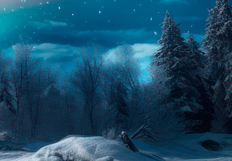Фотообои — Красочное северное сияние в ночном небе над лесом, 151865 G-ART