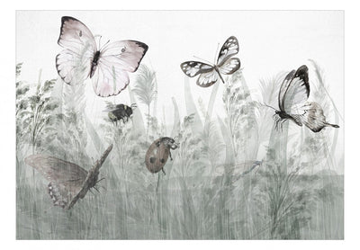 Fototapetes - Kukaiņi pļavā: mārīte un tauriņis, gaišas, 143846 G-ART