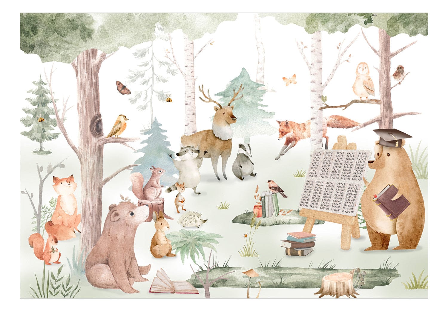 Wall Murals