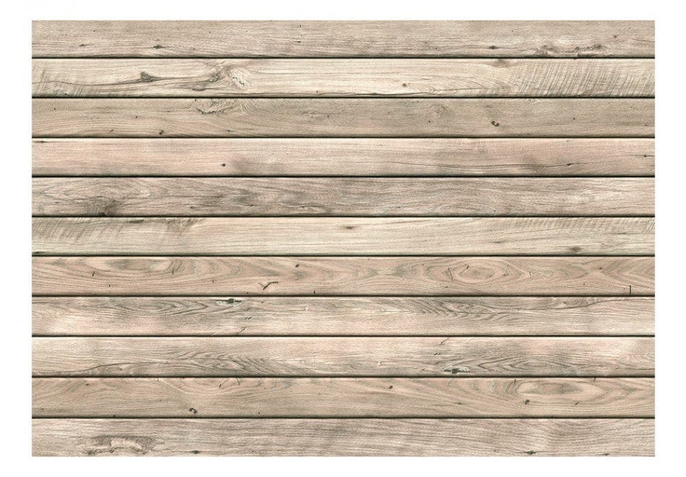 Fototapetes ar lauka atmosfēru bēšā krāsā G-ART