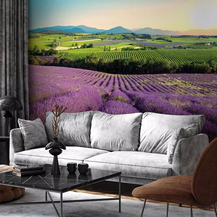 Fototapetes - Lavandu lauki - 127991 G-ART