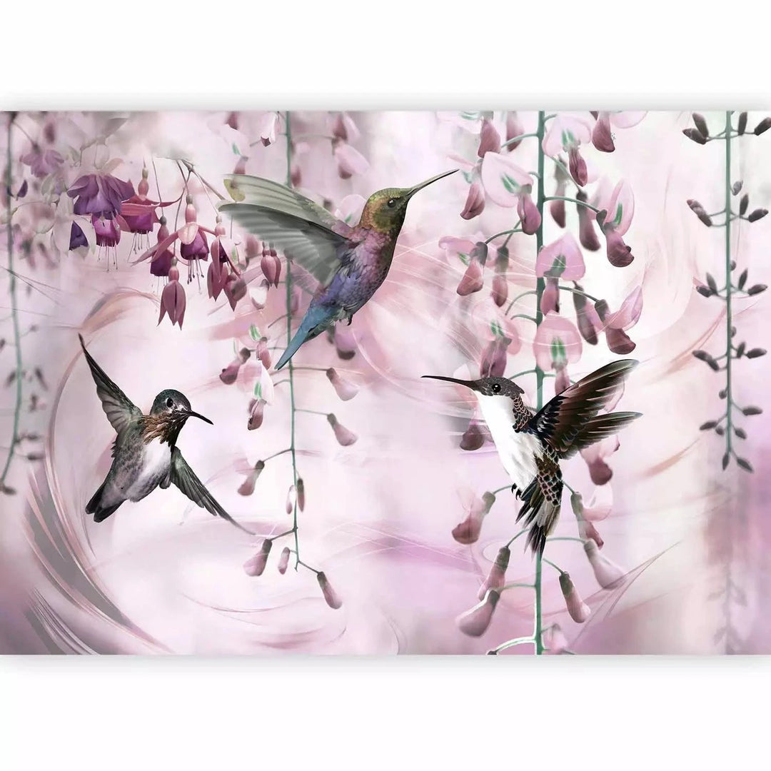 Fototapetes - Lidojoši kolibri starp ziediem rozā toņos, matētas G-ART