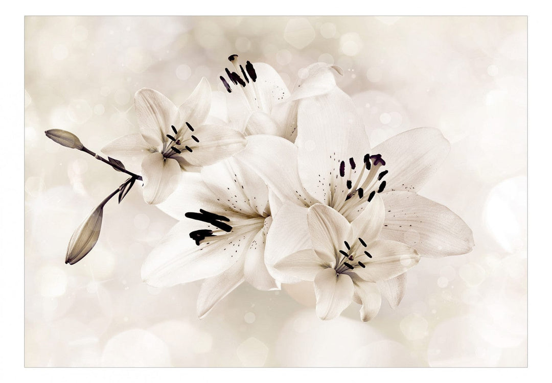 Fototapetes - Lilijas guļamistabai, krēmkrāsas lilijas, 142376 G-ART