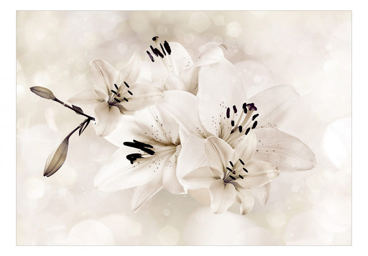 Fototapetes - Lilijas guļamistabai, krēmkrāsas lilijas, 142376 G-ART