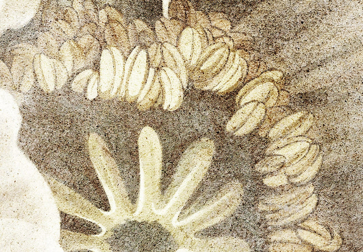 Fototapetes bēšos toņos - Maģiskais zieds, 142364 G-ART