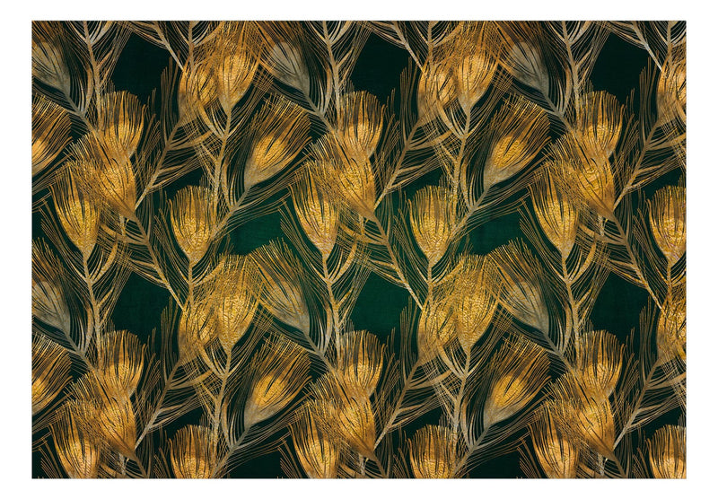 Фотообои Черное и золотое - перья павлина, 142523 G-ART