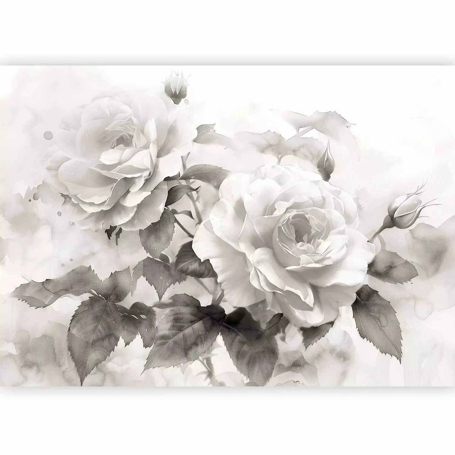 Fototapetes - Melnbalta kompozīcija ar rozēm - guļamistabai G-ART