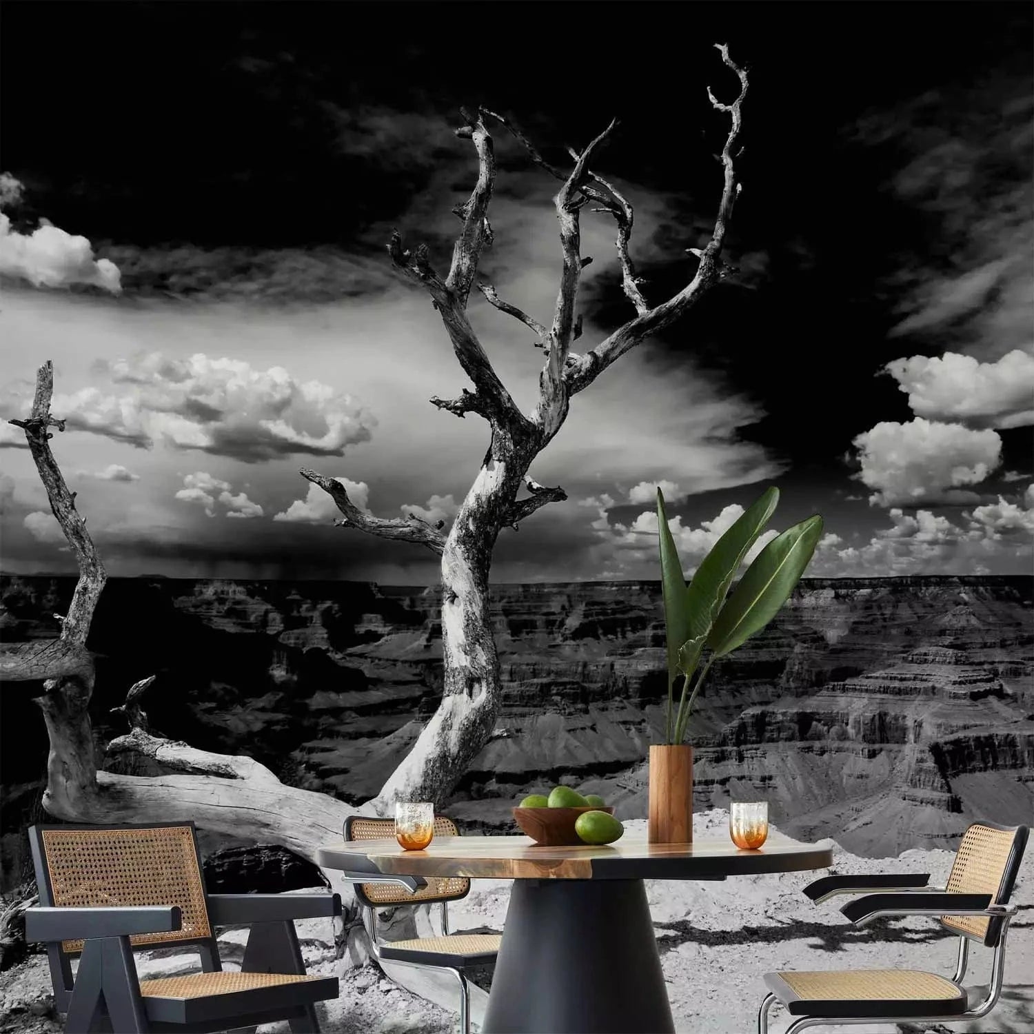 Fototapetes - Melnbalta ainava ar vienu koku centrā G-ART