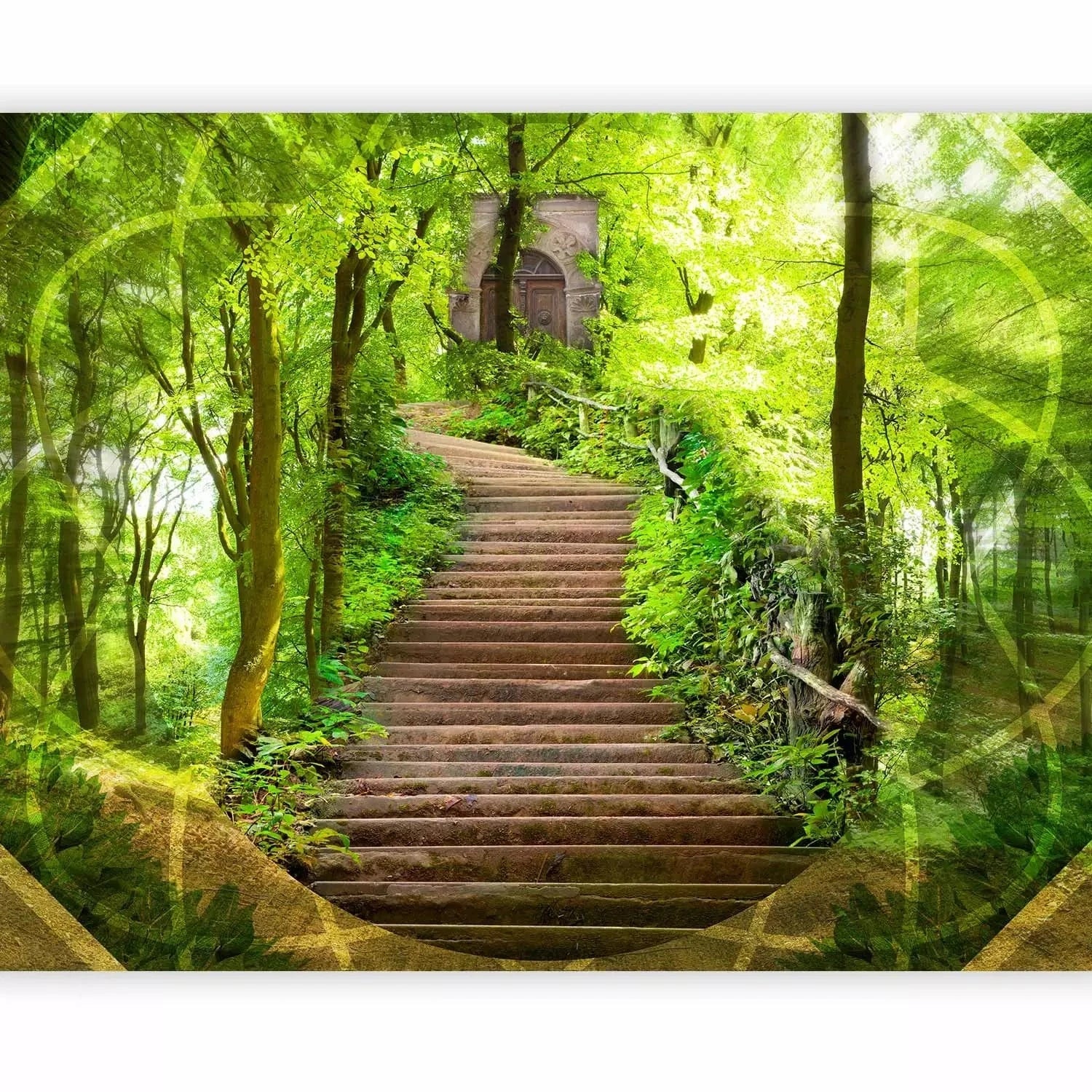 Fototapetes - Meža noslēpums (zaļā krāsā) - uz pasūtījumu G-ART