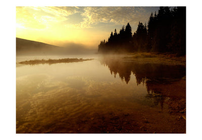 Фотообои - Лес и озеро, 60253 G-ART