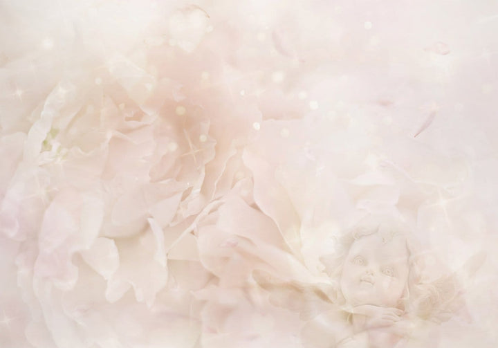 Fototapetes - Migla mīlestība - ziedi uz viegli rozā fona ar mirdzumu G-ART