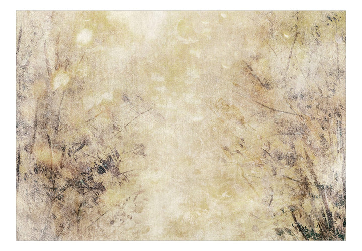 Fototapetes bēšos un dzeltenos toņos - Miglainas formas, 142509 G-ART
