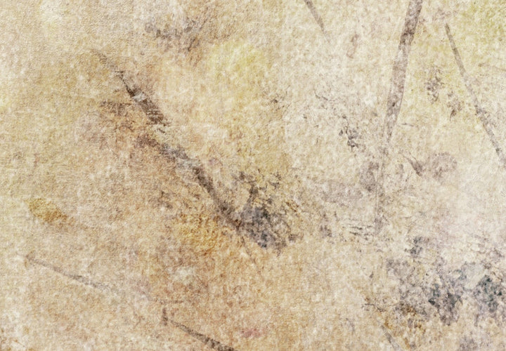 Fototapetes bēšos un dzeltenos toņos - Miglainas formas, 142509 G-ART