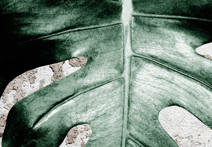 Fototapetes - Monstera zaļās lapas un betona siena - 138817 G-ART