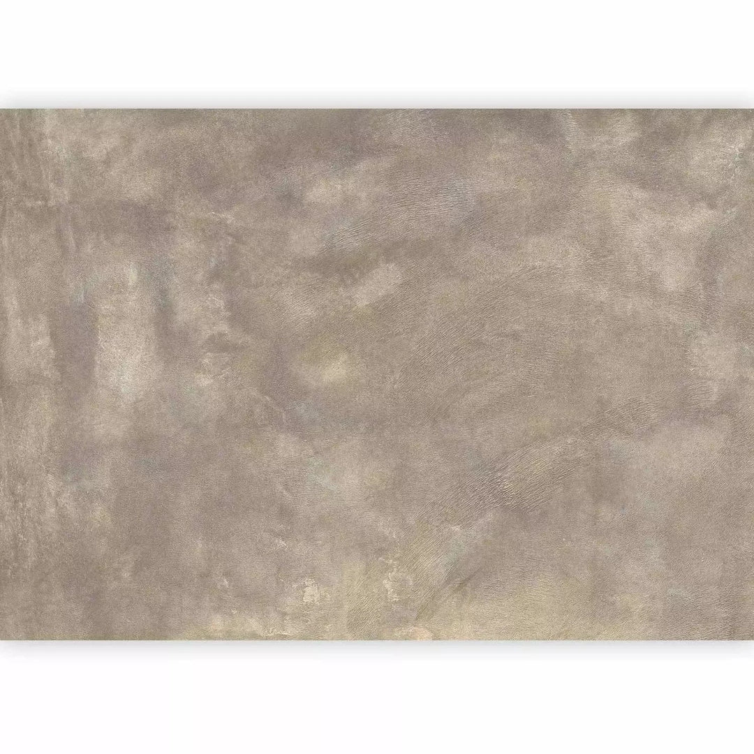 Fototapetes - neapstrādāta tekstūra nomierinošā krāsā: taupe G-ART