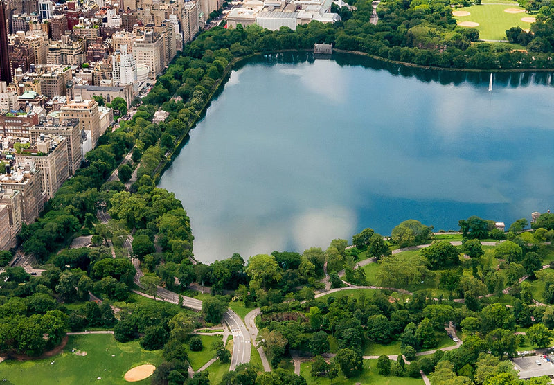 Fototapetes - Ņujorkas parks starp lielpilsētas debesskrāpjiem, 151269 G-ART