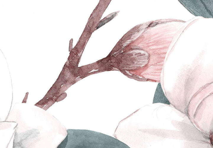 Fototapetes ar baltam magnolijām (tumši zaļas lapas), 137262 G-ART