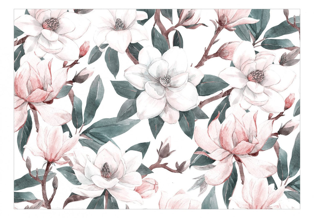 Fototapetes ar baltam magnolijām (tumši zaļas lapas), 137262 G-ART