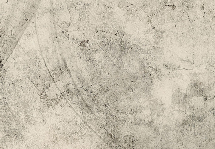 Fototapetes - Pelēkas pienenes, kompozīcija ar ziedu motīvu - 138471 G-ART