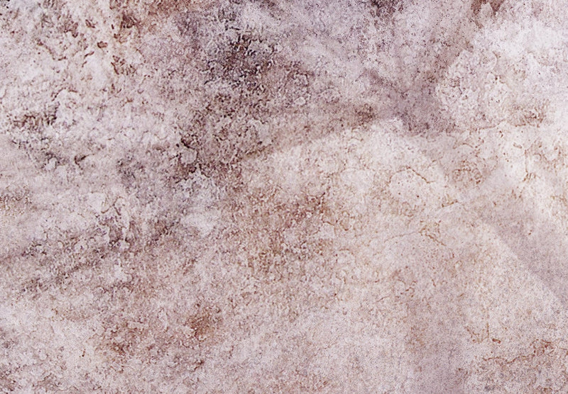 Fototapetes - Pienenes ēna (brūnos toņos) - 138472 G-ART