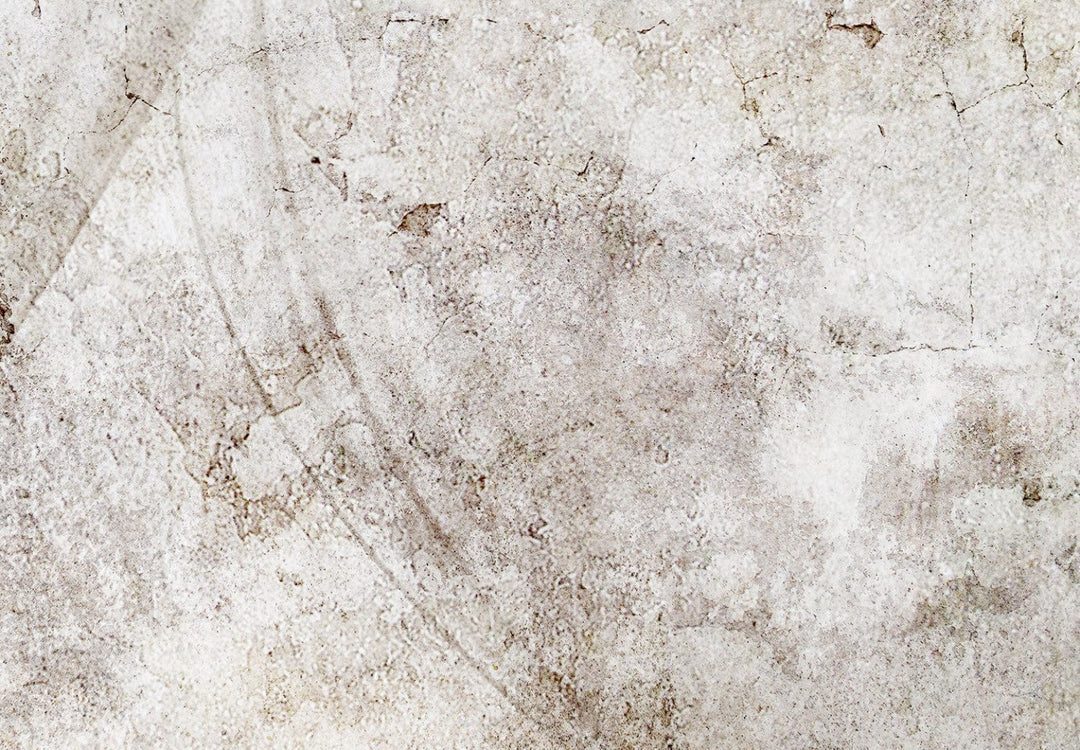 Bēšās fototapetes - Pienenes, kompozīcija ar ziedu motīvu - 138470 G-ART