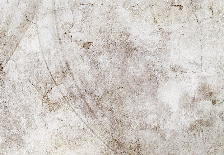 Bēšās fototapetes - Pienenes, kompozīcija ar ziedu motīvu - 138470 G-ART