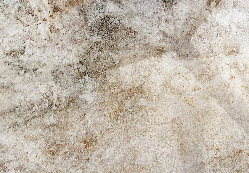 Bēšās fototapetes - Pienenes, kompozīcija ar ziedu motīvu - 138470 G-ART
