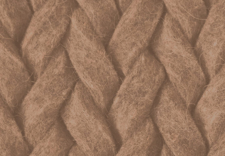 Fototapetes ar pīnēm brūnā krāsā 142280 G-ART