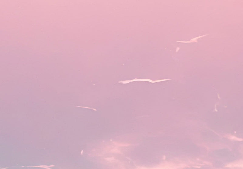 Fototapetes - Rozā mākoņi uz zila horizonta, 150564 G-ART