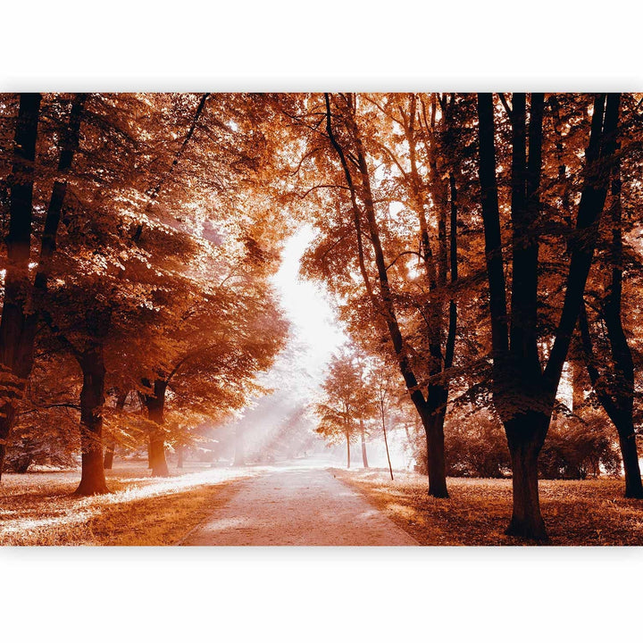 Rudens dabas flizelīna fototapetes - Rudens parks, 90536 G-ART
