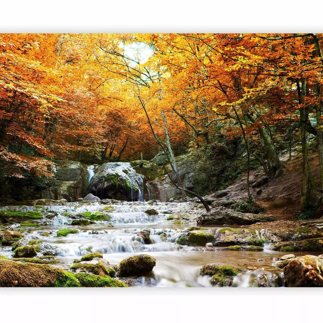Fototapetes - Ainava ar klinšaino upi un akmeņiem rudens meža vidū G-ART