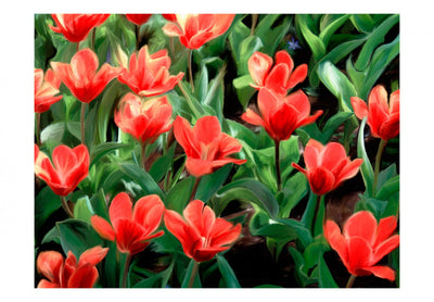 Fototapetes - Sarkani ziedi, 60468 G-ART