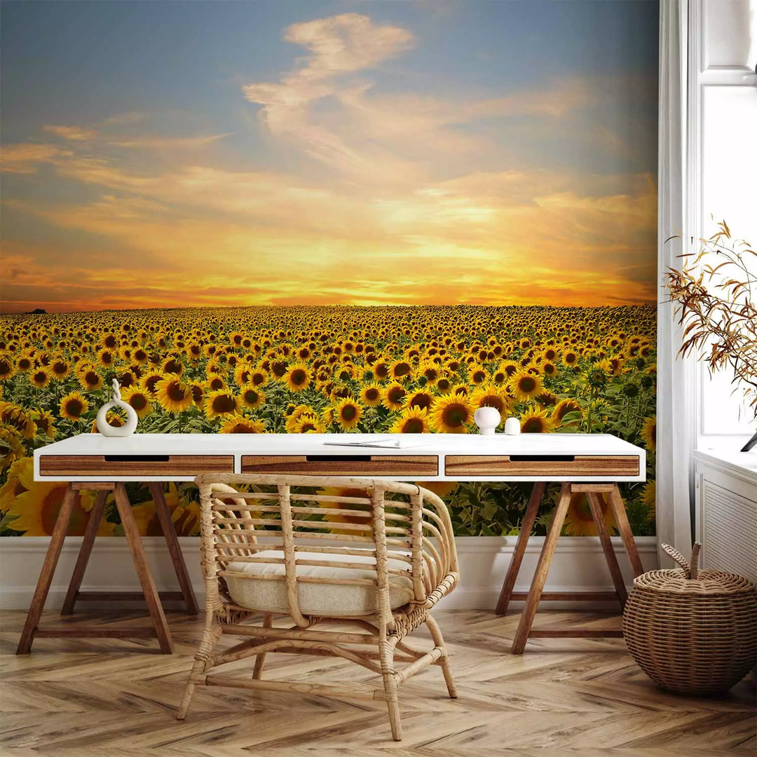 Fototapetes - Saulespuķu lauks saullēktā, dzeltena, zaļā krāsā G-ART