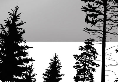 Fototapeet - Päikeseloojang mägede taga (hall ja must), 142306 G-ART