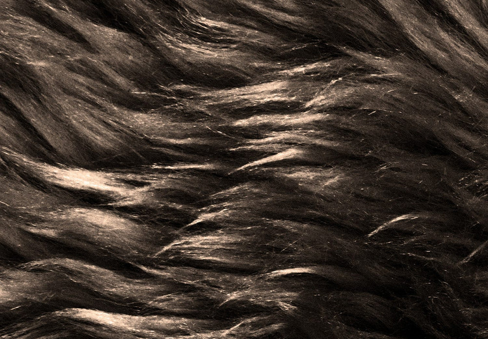Fototapetes - Silts interjers (tumšos toņos) - 146365 G-ART