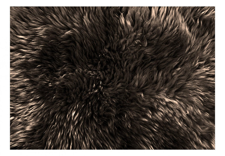 Fototapetes - Silts interjers (tumšos toņos) - 146365 G-ART
