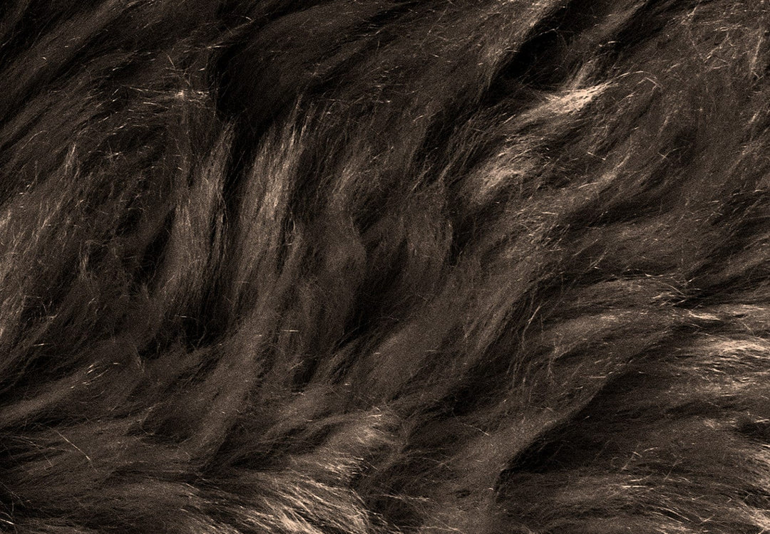 Fototapetes - Silts interjers (tumšos toņos) - 146365 G-ART