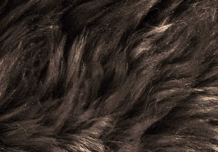 Fototapetes - Silts interjers (tumšos toņos) - 146365 G-ART
